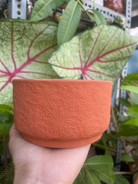 Chậu Đất Nung Hoạ Tiết Hoa Cúc