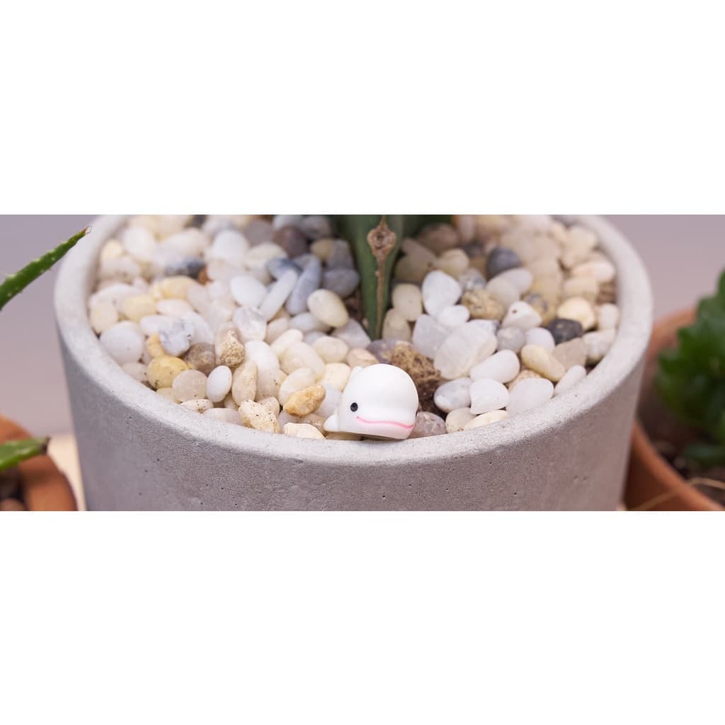 Phụ kiện Cá Voi mini trang trí